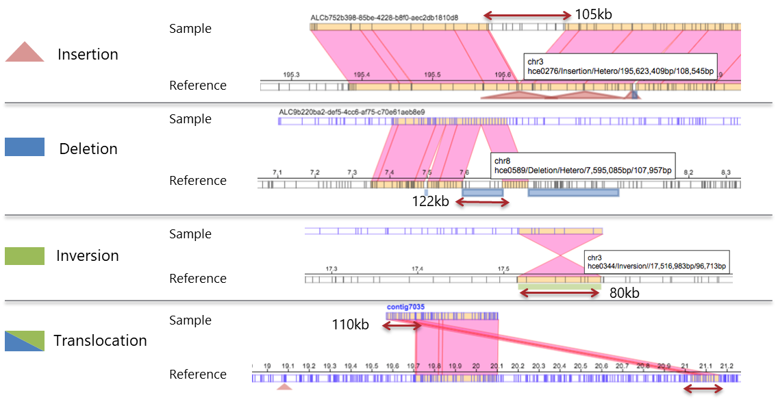 Structural Variation Defined