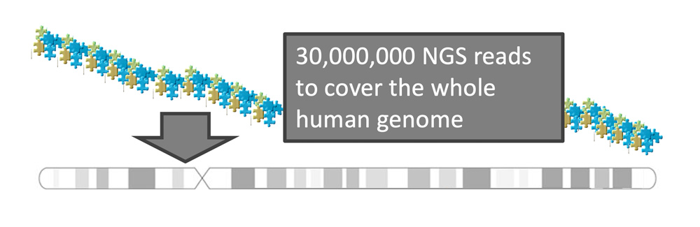 Sequence based approaches to structural variation analysis